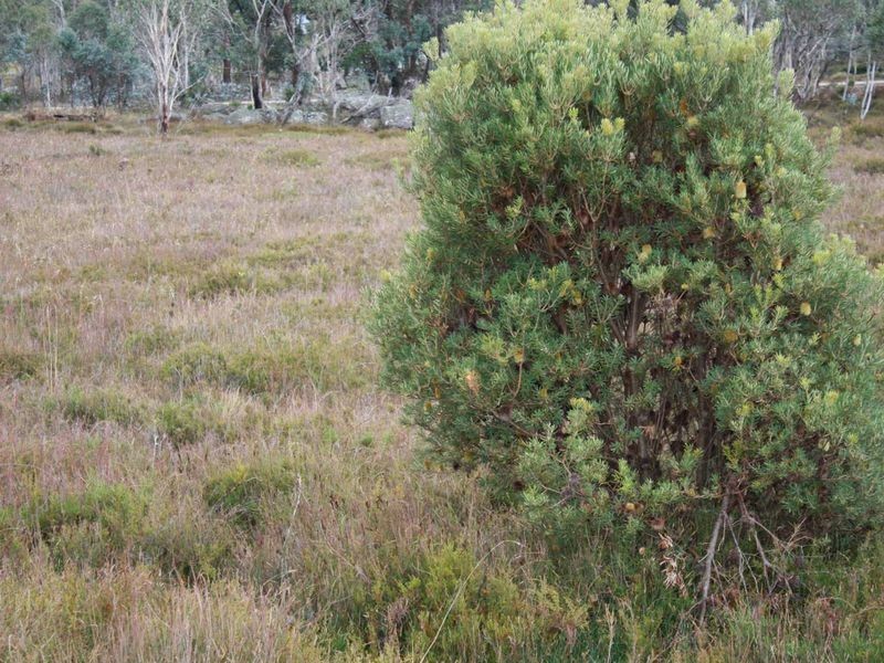 37 Sara River Rd, Glen Innes NSW 2370