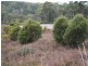 37 Sara River Rd, Glen Innes NSW 2370