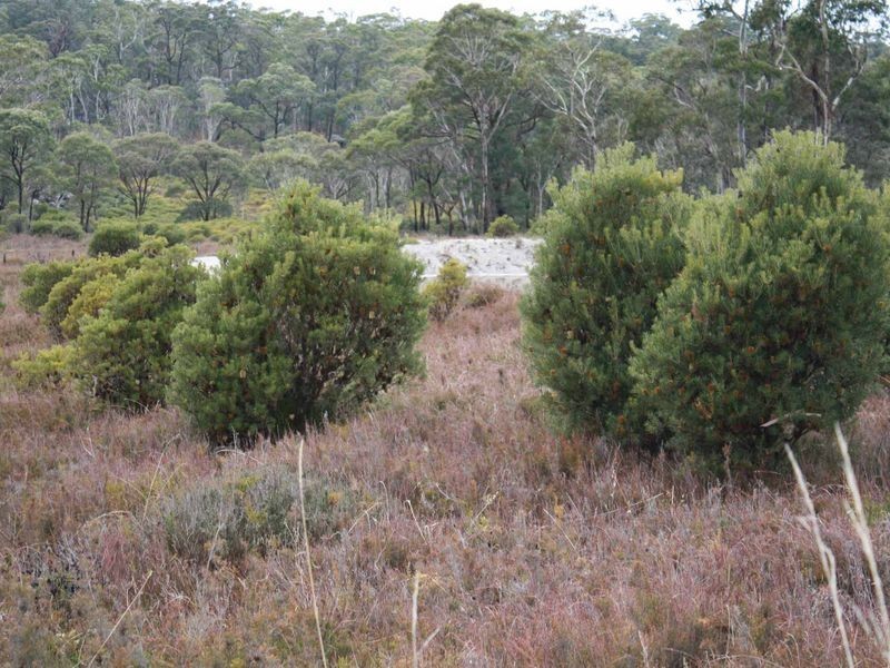 37 Sara River Rd, Glen Innes NSW 2370