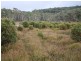 37 Sara River Rd, Glen Innes NSW 2370