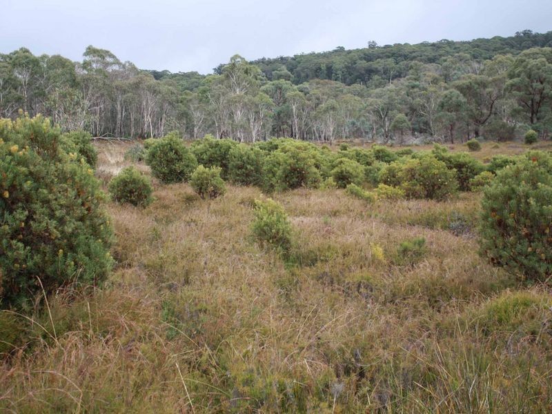 37 Sara River Rd, Glen Innes NSW 2370