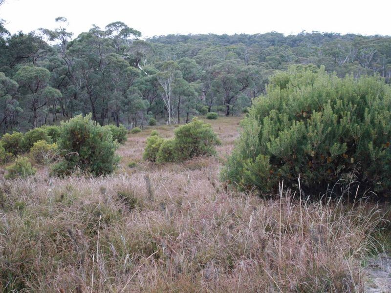 37 Sara River Rd, Glen Innes NSW 2370