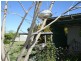 34 Wentworth Street, Glen Innes NSW 2370