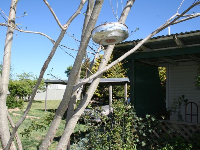 34 Wentworth Street, Glen Innes NSW 2370