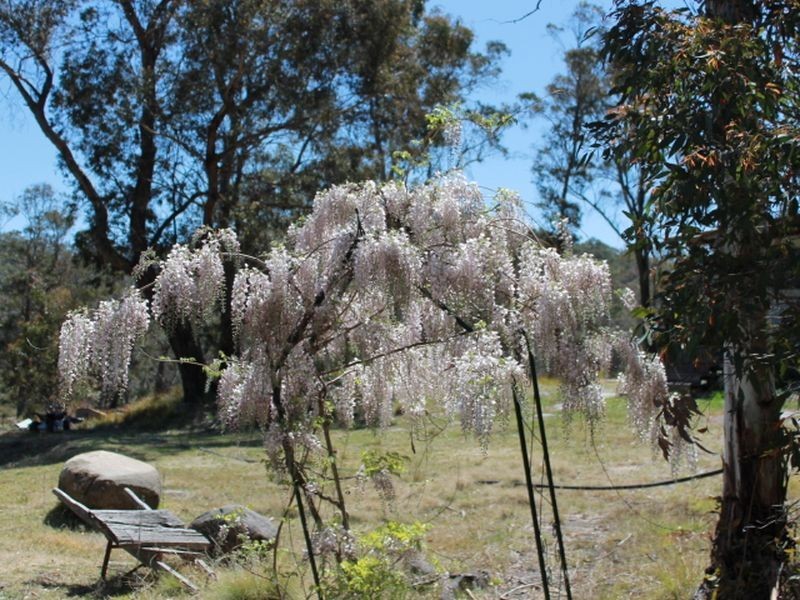 109 Warra Forest Road, Glen Innes NSW 2370