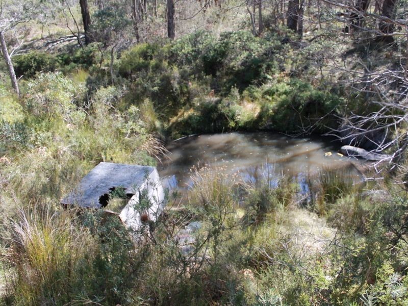 109 Warra Forest Road, Glen Innes NSW 2370