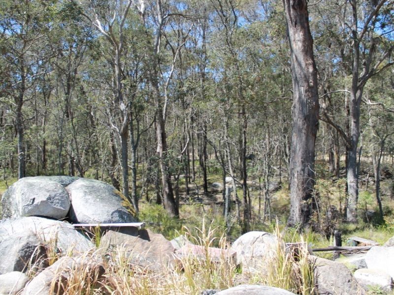 109 Warra Forest Road, Glen Innes NSW 2370