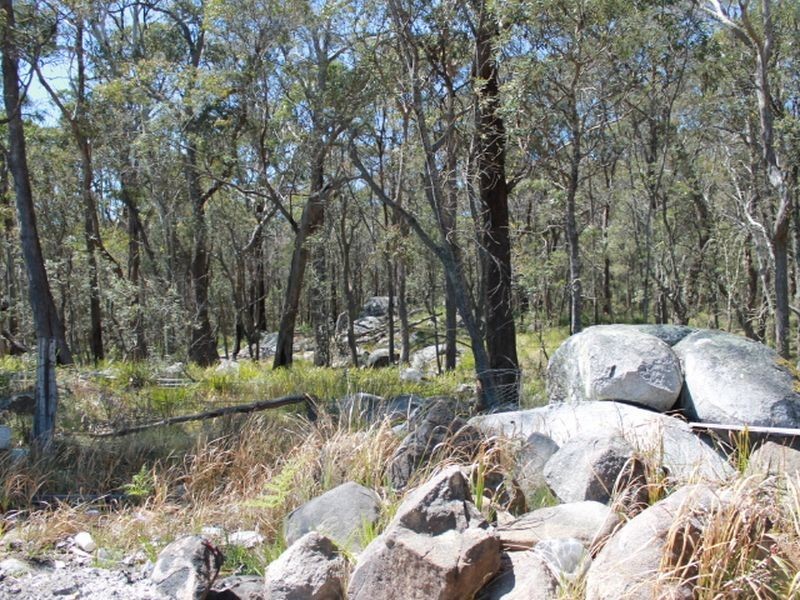 109 Warra Forest Road, Glen Innes NSW 2370