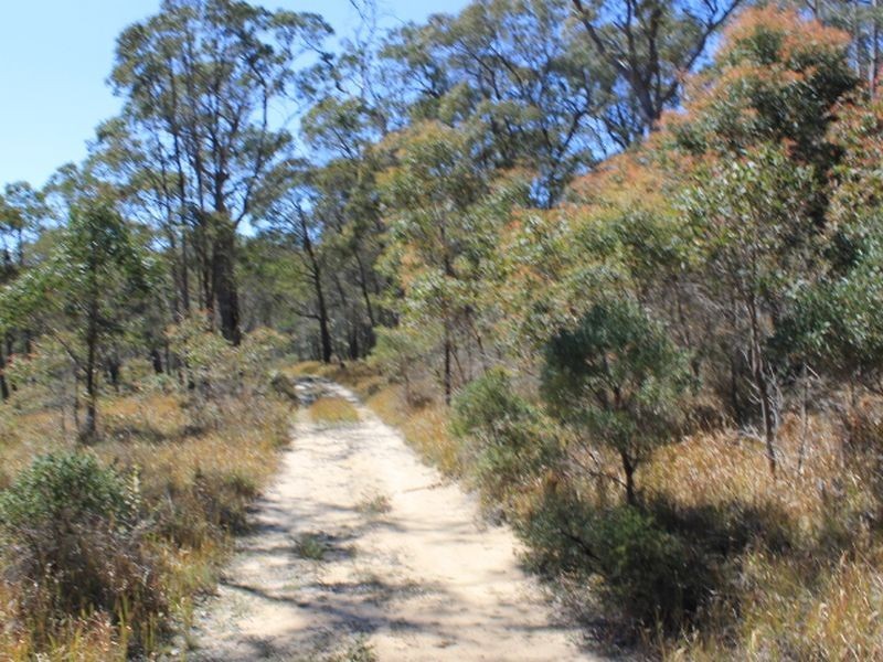 109 Warra Forest Road, Glen Innes NSW 2370