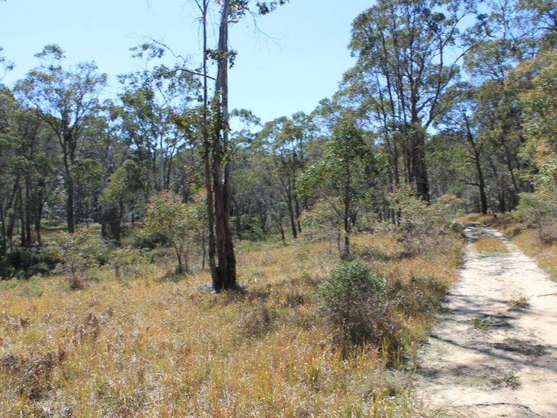 109 Warra Forest Road, Glen Innes NSW 2370