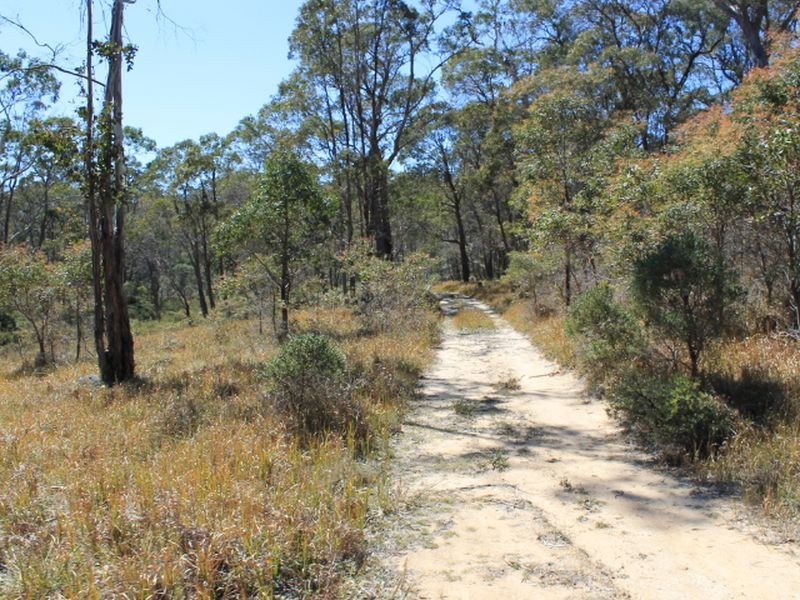 109 Warra Forest Road, Glen Innes NSW 2370