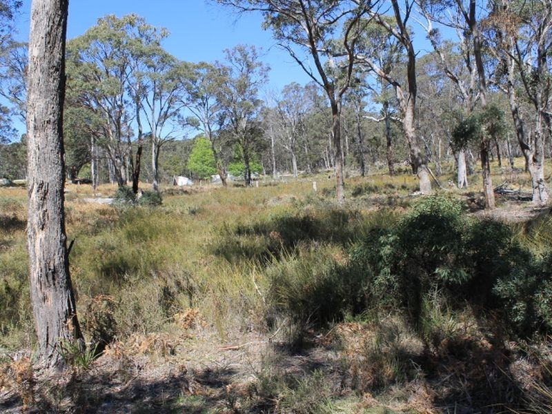 109 Warra Forest Road, Glen Innes NSW 2370