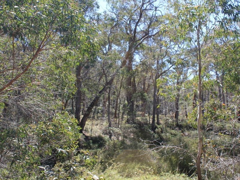 109 Warra Forest Road, Glen Innes NSW 2370