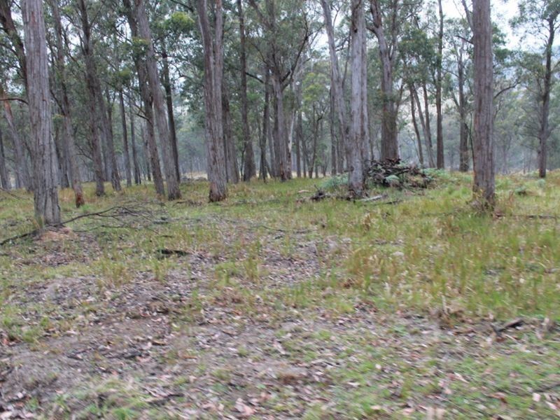 Lot 2 Morven Road, Glen Innes NSW 2370