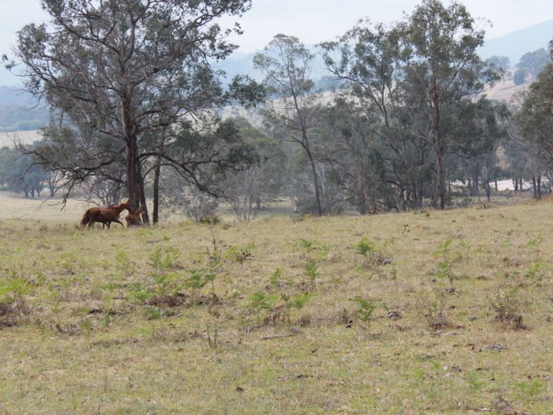 Lot 2 Morven Road, Glen Innes NSW 2370