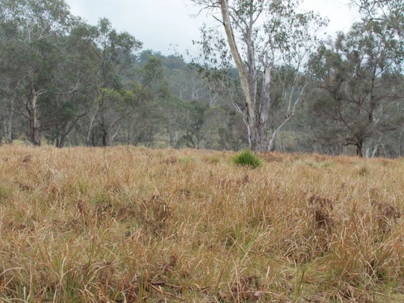 Lot 2 Morven Road, Glen Innes NSW 2370