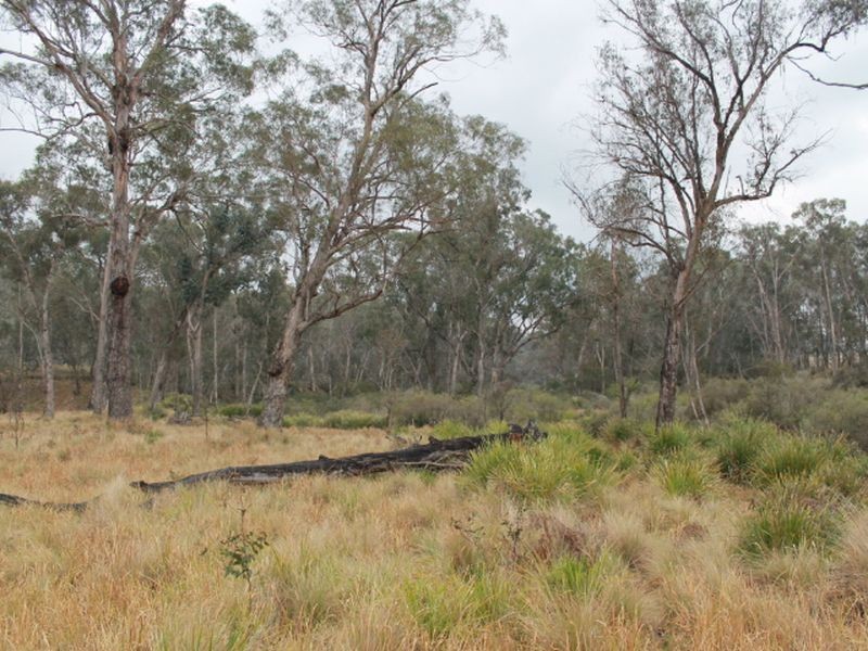 Lot 2 Morven Road, Glen Innes NSW 2370