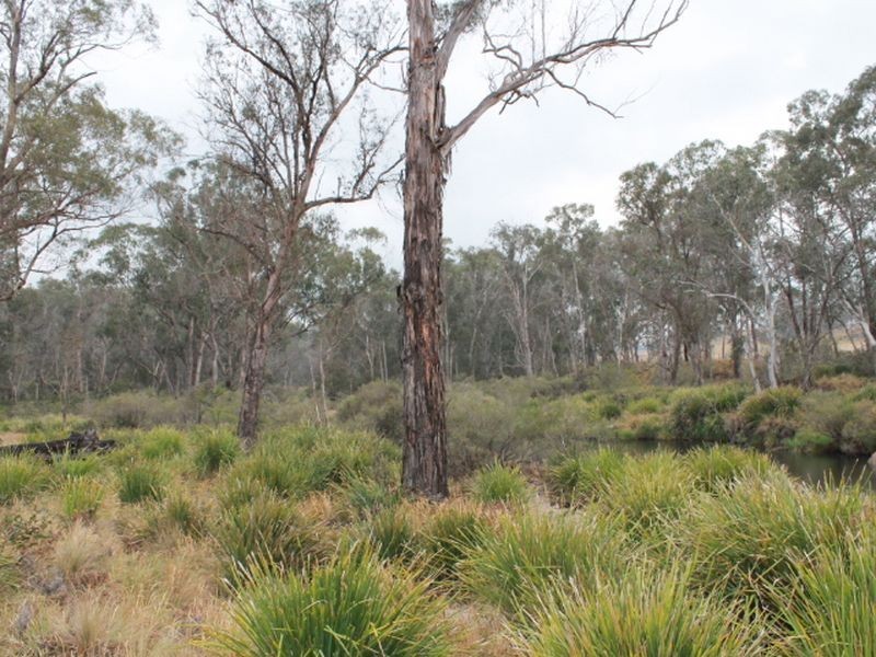 Lot 2 Morven Road, Glen Innes NSW 2370