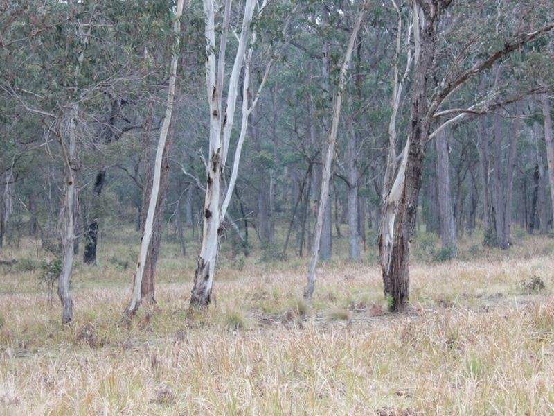 Lot 2 Morven Road, Glen Innes NSW 2370