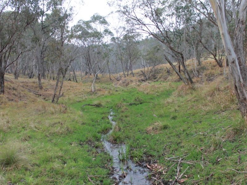 Lot 2 Morven Road, Glen Innes NSW 2370