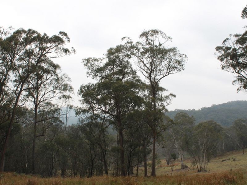 Lot 2 Morven Road, Glen Innes NSW 2370