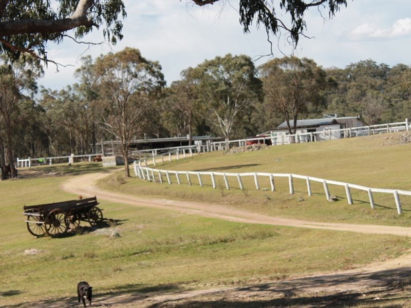 1192 Bullock Mountain Road, Glen Innes NSW 2370