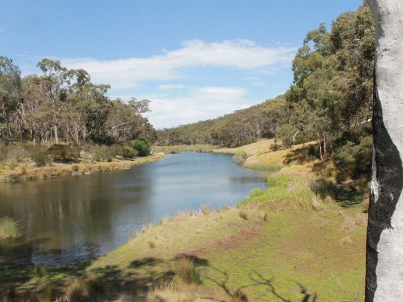 1192 Bullock Mountain Road, Glen Innes NSW 2370