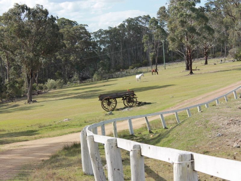 1192 Bullock Mountain Road, Glen Innes NSW 2370