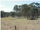 1192 Bullock Mountain Road, Glen Innes NSW 2370