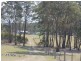 1192 Bullock Mountain Road, Glen Innes NSW 2370