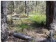 1192 Bullock Mountain Road, Glen Innes NSW 2370