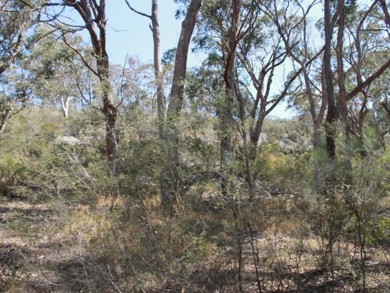 1192 Bullock Mountain Road, Glen Innes NSW 2370