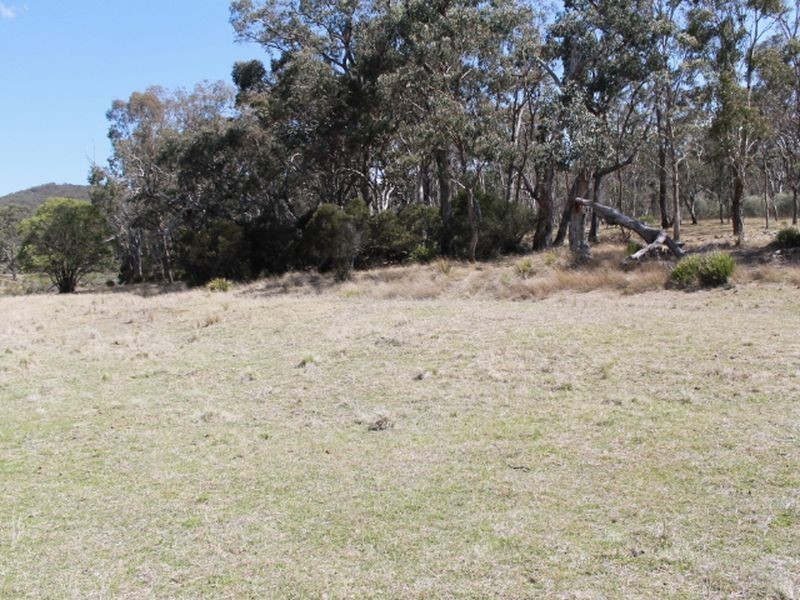 1192 Bullock Mountain Road, Glen Innes NSW 2370
