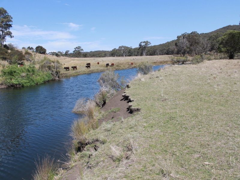 1192 Bullock Mountain Road, Glen Innes NSW 2370