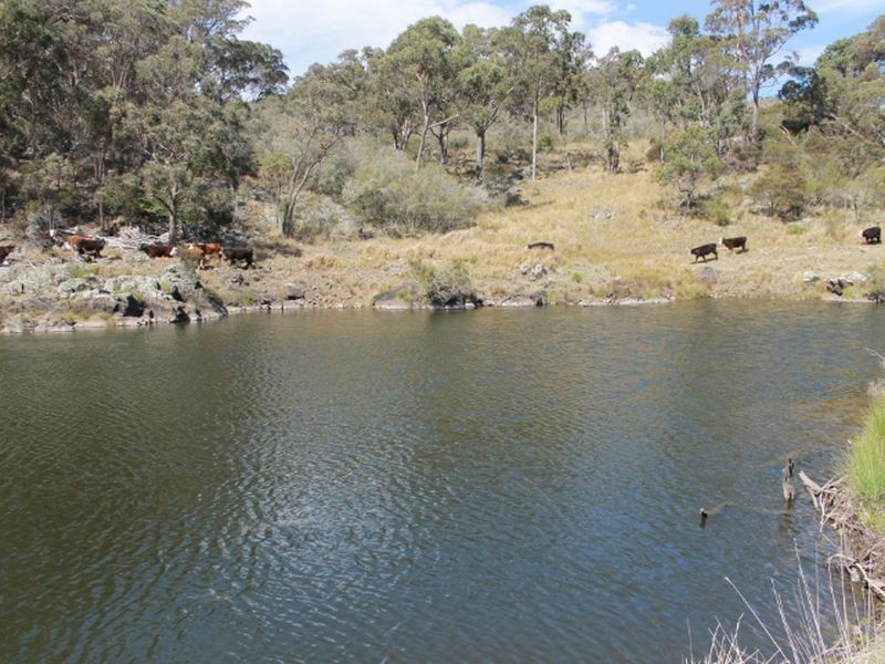 1192 Bullock Mountain Road, Glen Innes NSW 2370