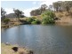 1192 Bullock Mountain Road, Glen Innes NSW 2370