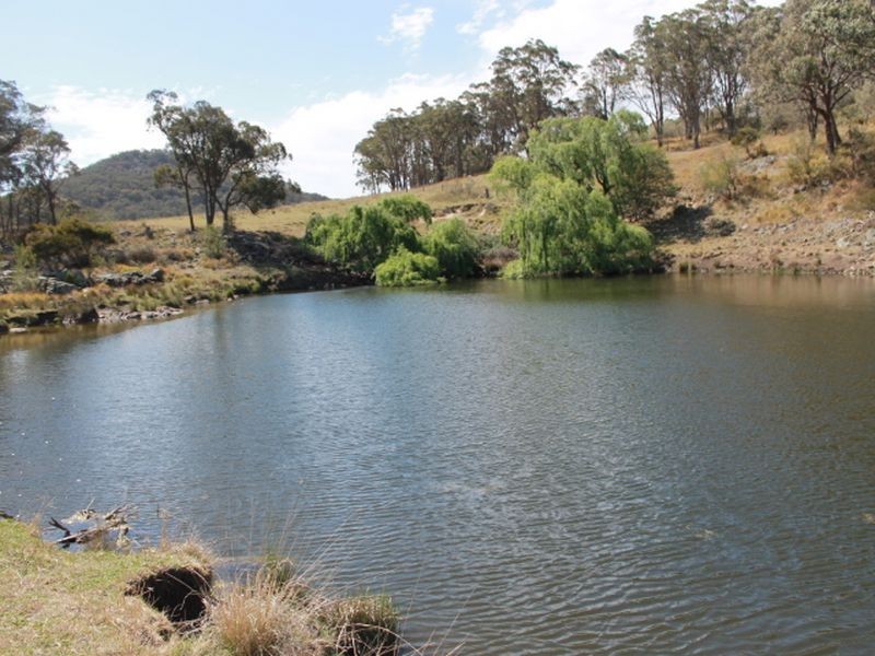 1192 Bullock Mountain Road, Glen Innes NSW 2370