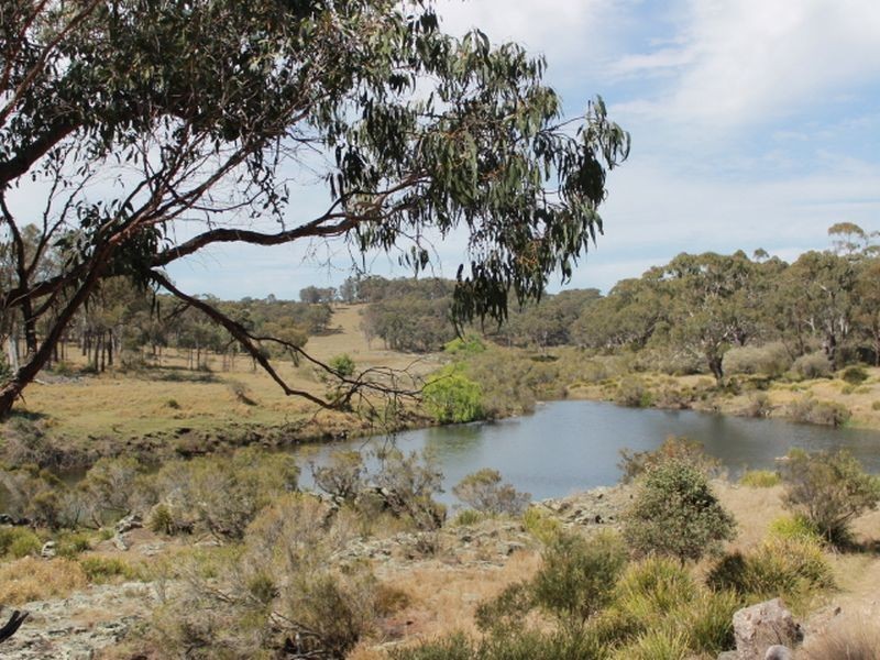 1192 Bullock Mountain Road, Glen Innes NSW 2370