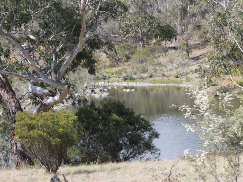 1192 Bullock Mountain Road, Glen Innes NSW 2370