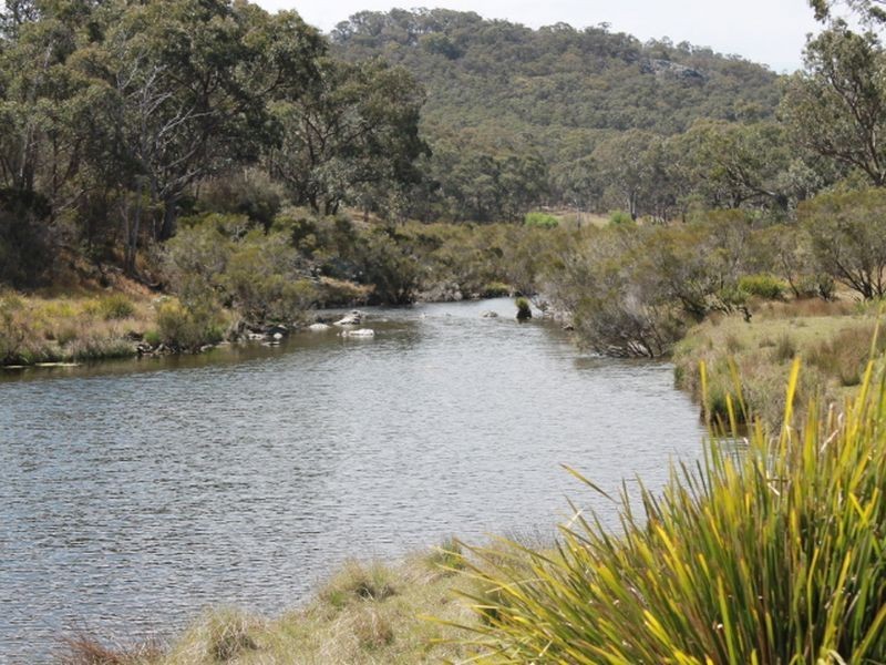 1192 Bullock Mountain Road, Glen Innes NSW 2370