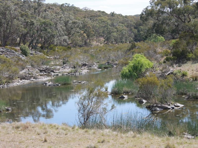 1192 Bullock Mountain Road, Glen Innes NSW 2370