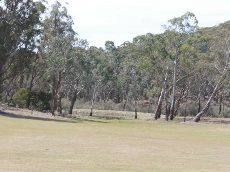 1192 Bullock Mountain Road, Glen Innes NSW 2370