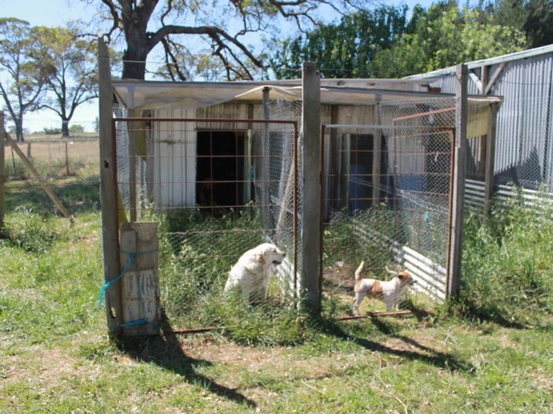 56-58 Victoria Street, Glen Innes NSW 2370