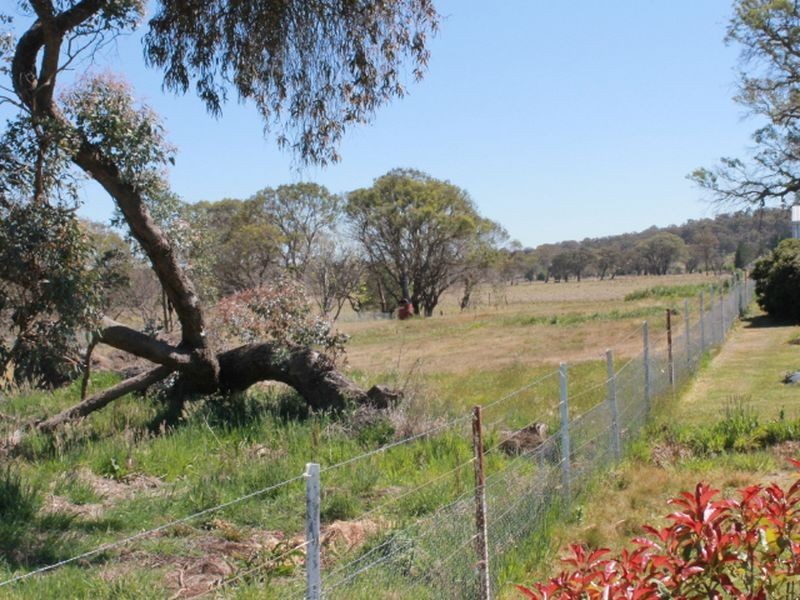 56-58 Victoria Street, Glen Innes NSW 2370