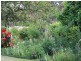 Lot 2 Tom Toy Ave, Deepwater NSW 2371