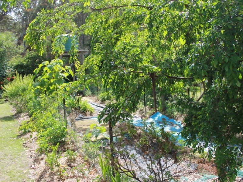 Lot 2 Tom Toy Ave, Deepwater NSW 2371