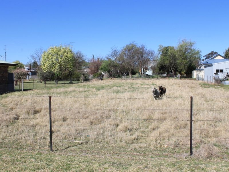 68 Severn Street, Deepwater NSW 2371