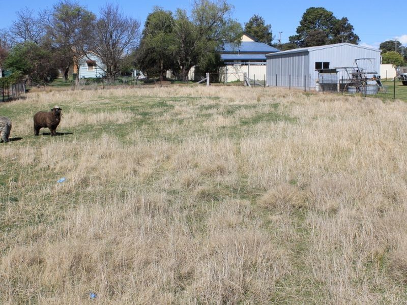 68 Severn Street, Deepwater NSW 2371