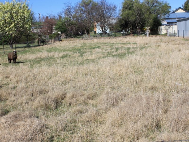 68 Severn Street, Deepwater NSW 2371