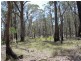 Lot 32 Skeleton Creek Rd, Glen Innes NSW 2370